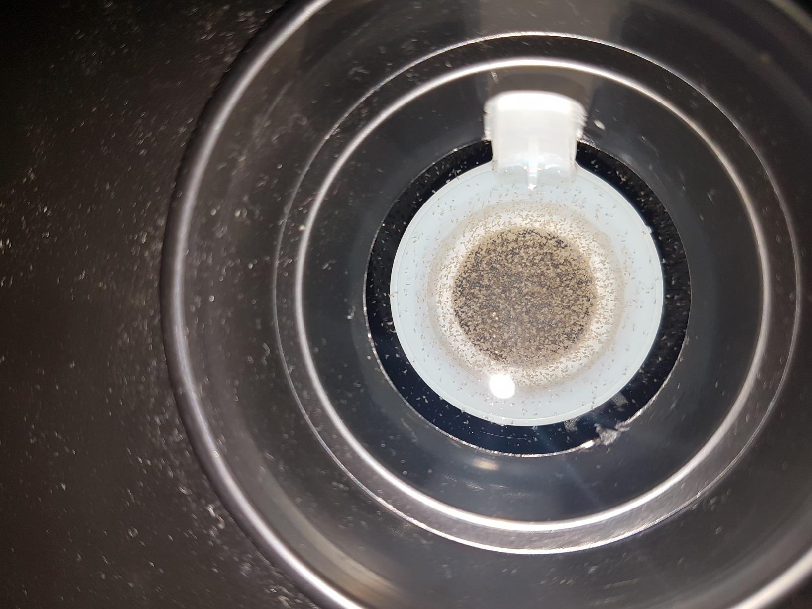 Hobby Artemia Aufzuchtschale mit Sieb und Löffel