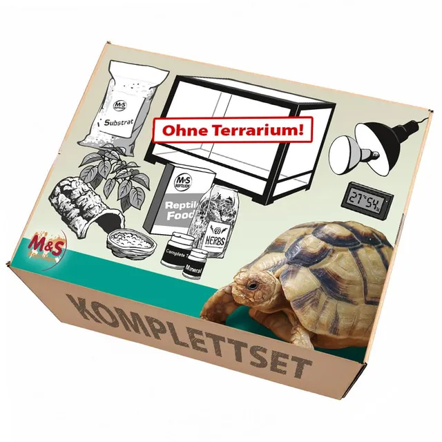 M&S Reptilien Komplettset Landschildkröten Zubehör ohne Terrarium