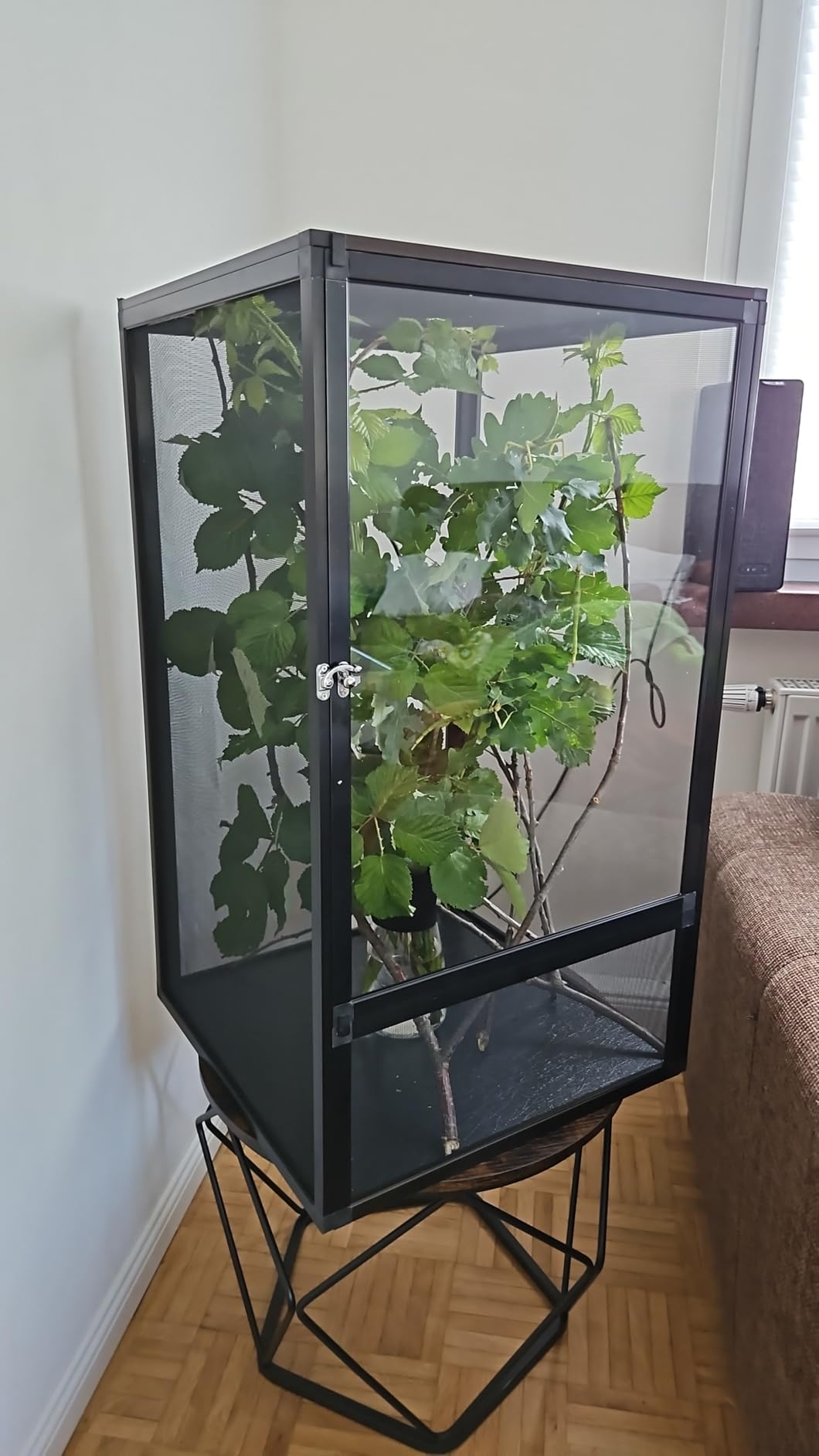 ReptiZoo Gaze Terrarium Large 45x45x80 cm Alu