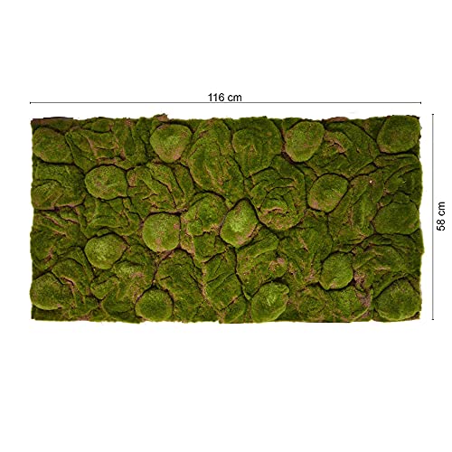 Repiterra Terrarium Rückwand Moos 116x58 cm 3D Hintergrund