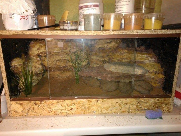 Repiterra Terrarium 60x30x30 cm Seitenbelüftung Holzterrarium