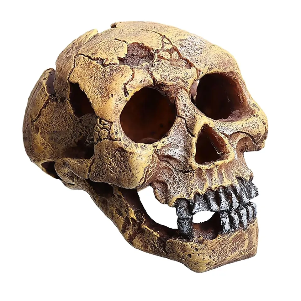 Repti Zoo ERS76 Versteckhöhle Totenkopf 16x11x11 cm