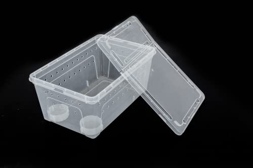 ReptiZoo RT2016L Kunststoffterrarium Large Wasserschale