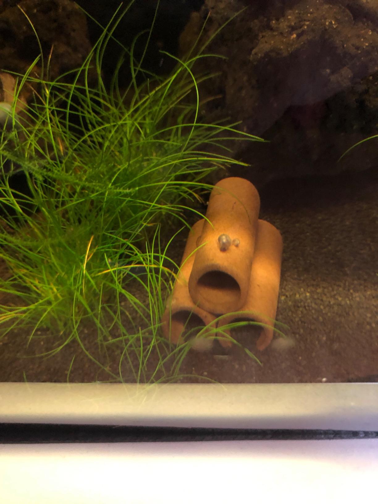 Hobby Prawn Pyramid 3-2-1 dark Garnelenhöhle 5x5,5x5 cm