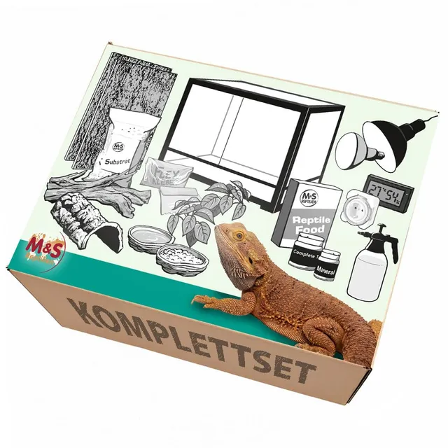 M&S Reptilien Komplettset Bartagame Terrarium 120 cm Wüste