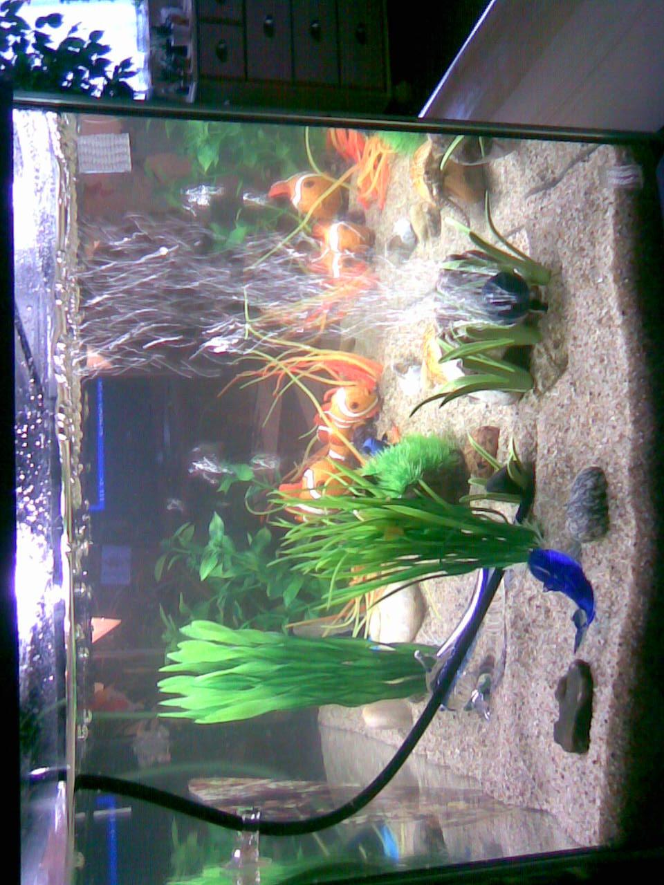 Hobby Vallisneria Kunstpflanze 60 cm täuschend echt