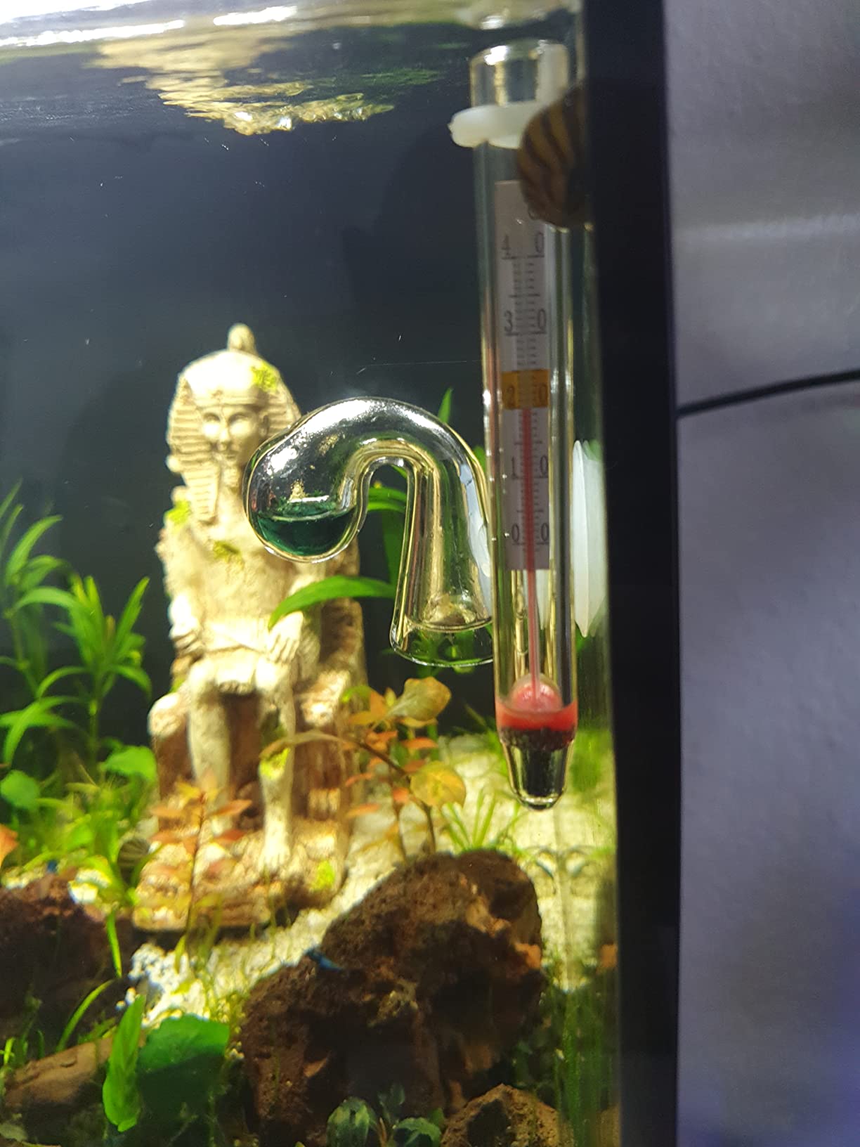 Hobby DT1 Digital-Thermometer dunkelrot Terrarium