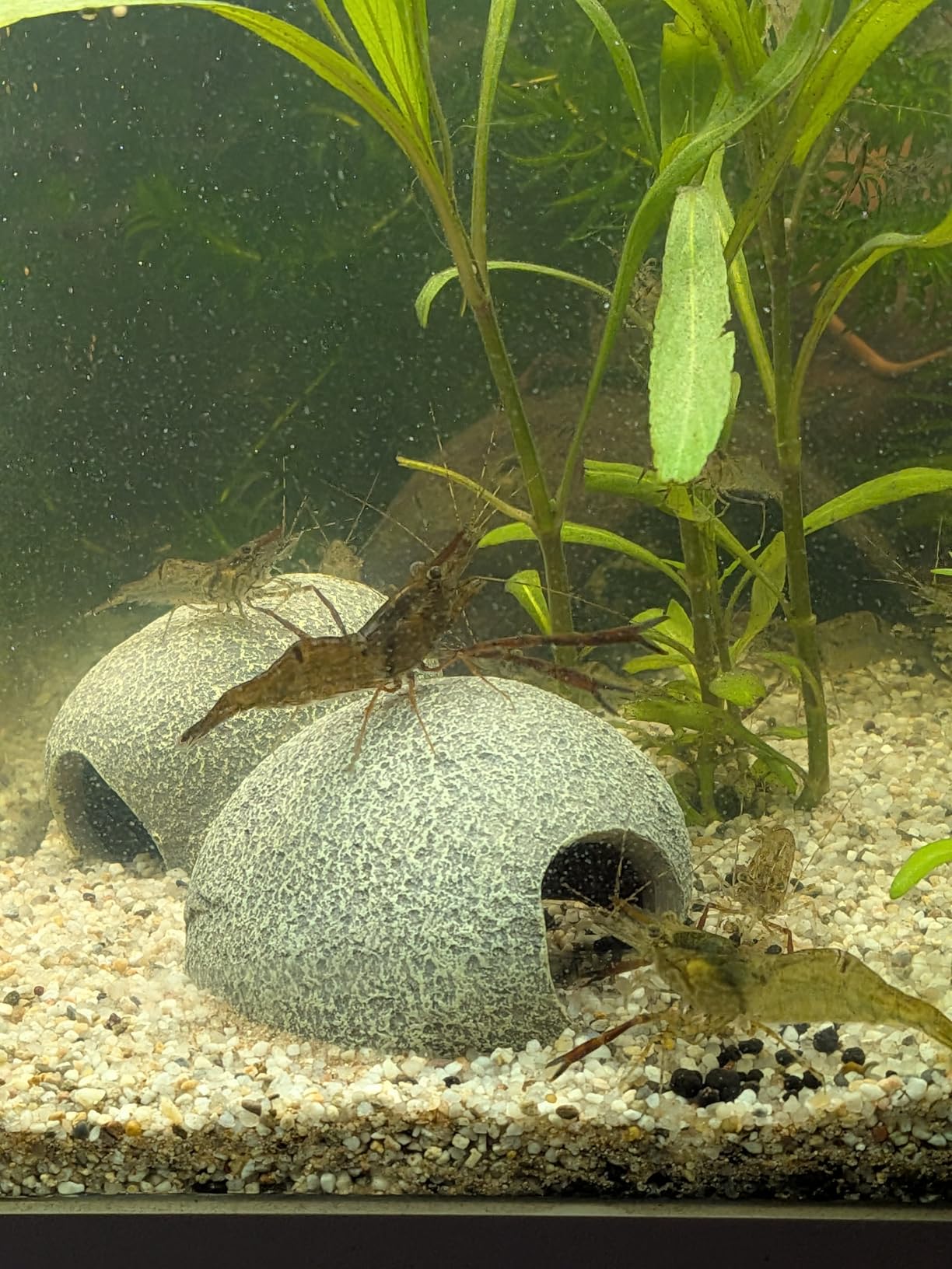 Hobby Marble Cave 3 Aquariumhöhle 7x6x5 cm