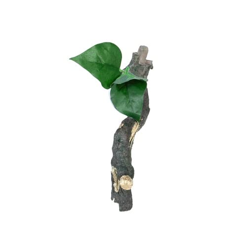 Repti Zoo DR08 Kletterliane 3-teilig 60 cm Saugnäpfe