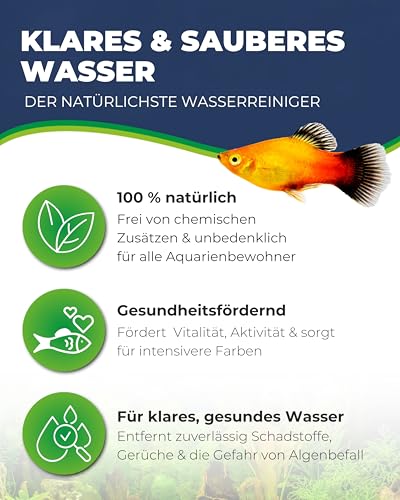 Hobby Easy Fit Flüssigfilter 5.000 ml Wasseraufbereiter