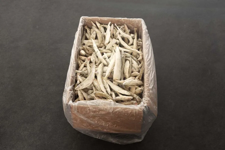 intipa Stinte L Salzwasser Frostfisch 12-15 cm 9 kg