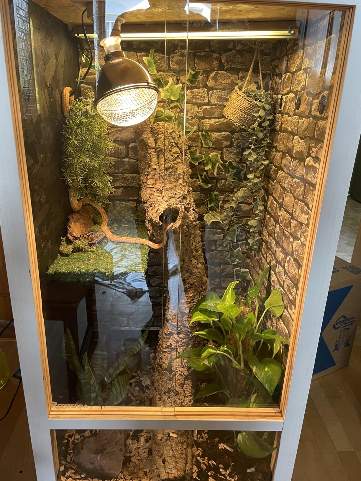 Repiterra Terrarium 60x120x60 cm Seitenbelüftung Holzterrarium