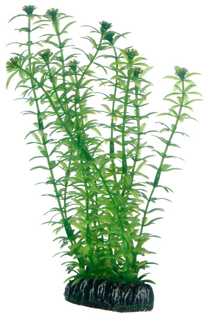 Hobby Lagarosiphon Kunstpflanze 60 cm wasserneutral