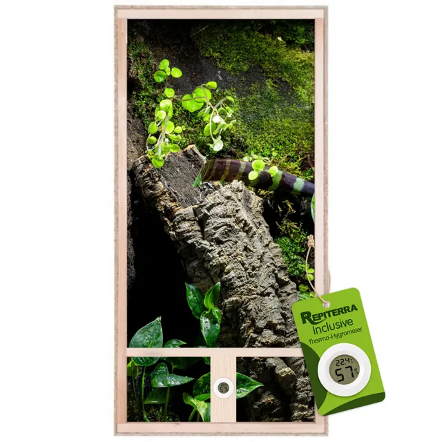 Repiterra Terrarium hoch 60x120x60 cm für Chamäleon