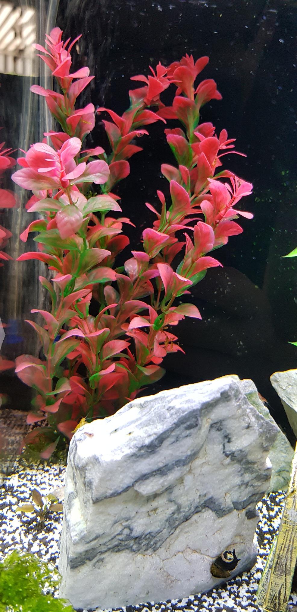 Hobby Ludwigia Kunstpflanze 60 cm Aquaristik Felsen