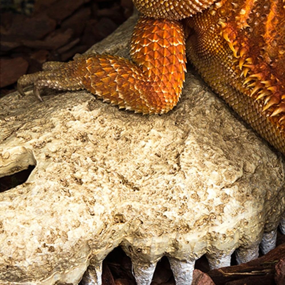 Repti Zoo ERS34 Krokodilschädel Versteck M Kunststoff