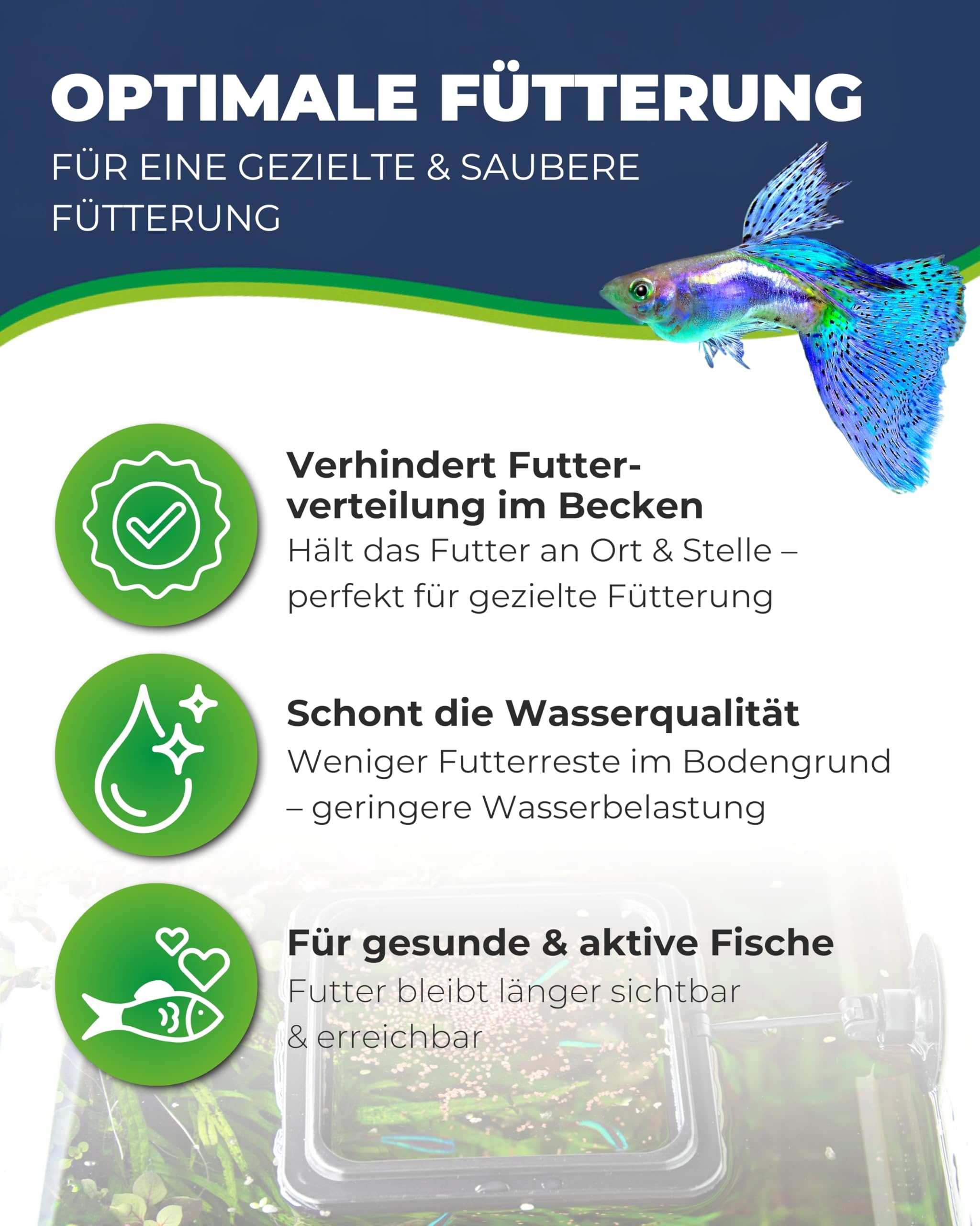 Hobby Feeding Station 2 Futterring eckig 10x10 cm mit Saugnapf
