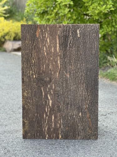 M&S Reptilien Zierkork Rückwand Fine 90x60x2cm DPCT062