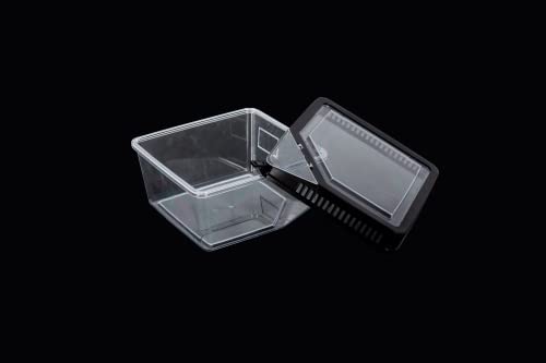 ReptiZoo RT2019 Kunststoffbox 17,7x17,7x11 cm mit Klappe