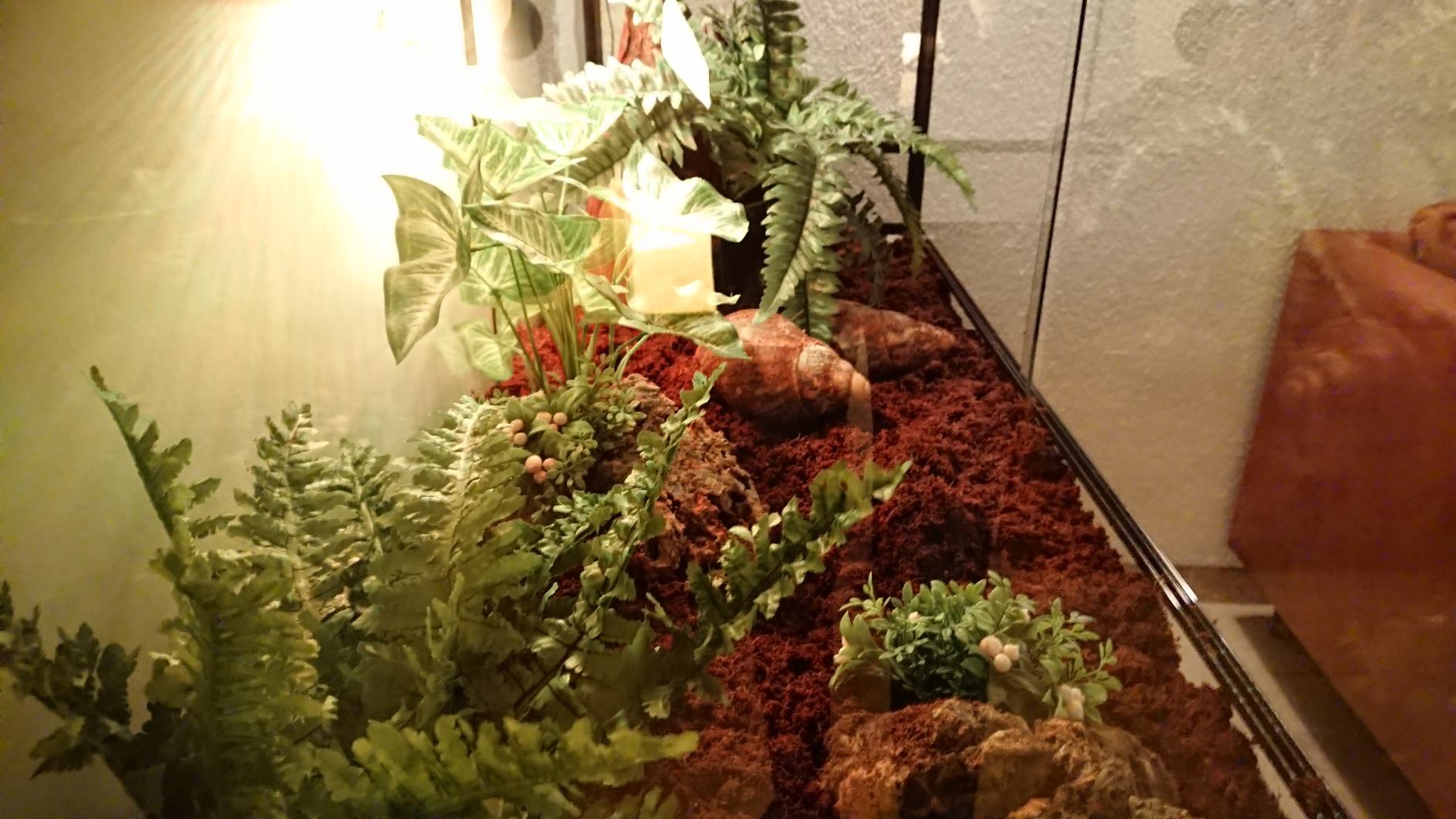 ReptiZoo RK0222 Glas-Terrarium 120x45x45 cm zerlegbar