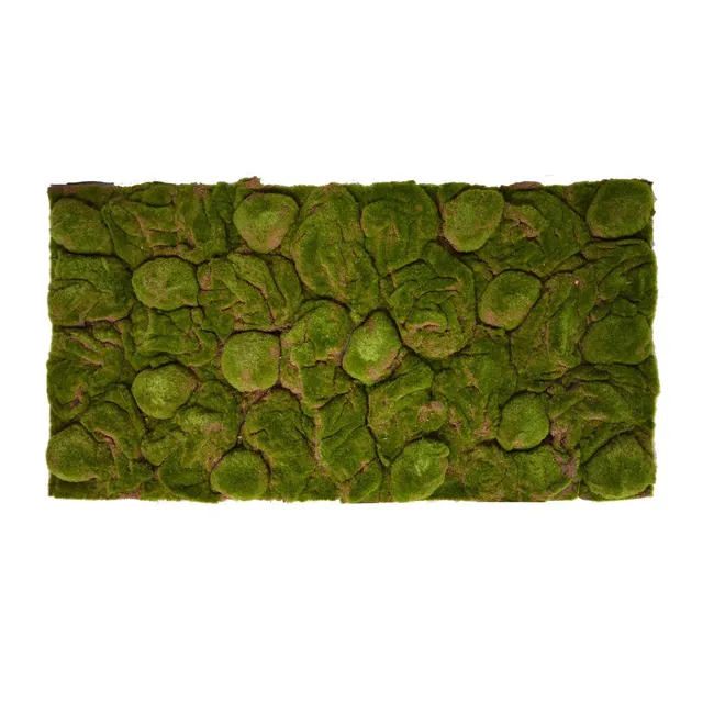 Repiterra Terrarium Rückwand Moos 116x58 cm 3D Hintergrund