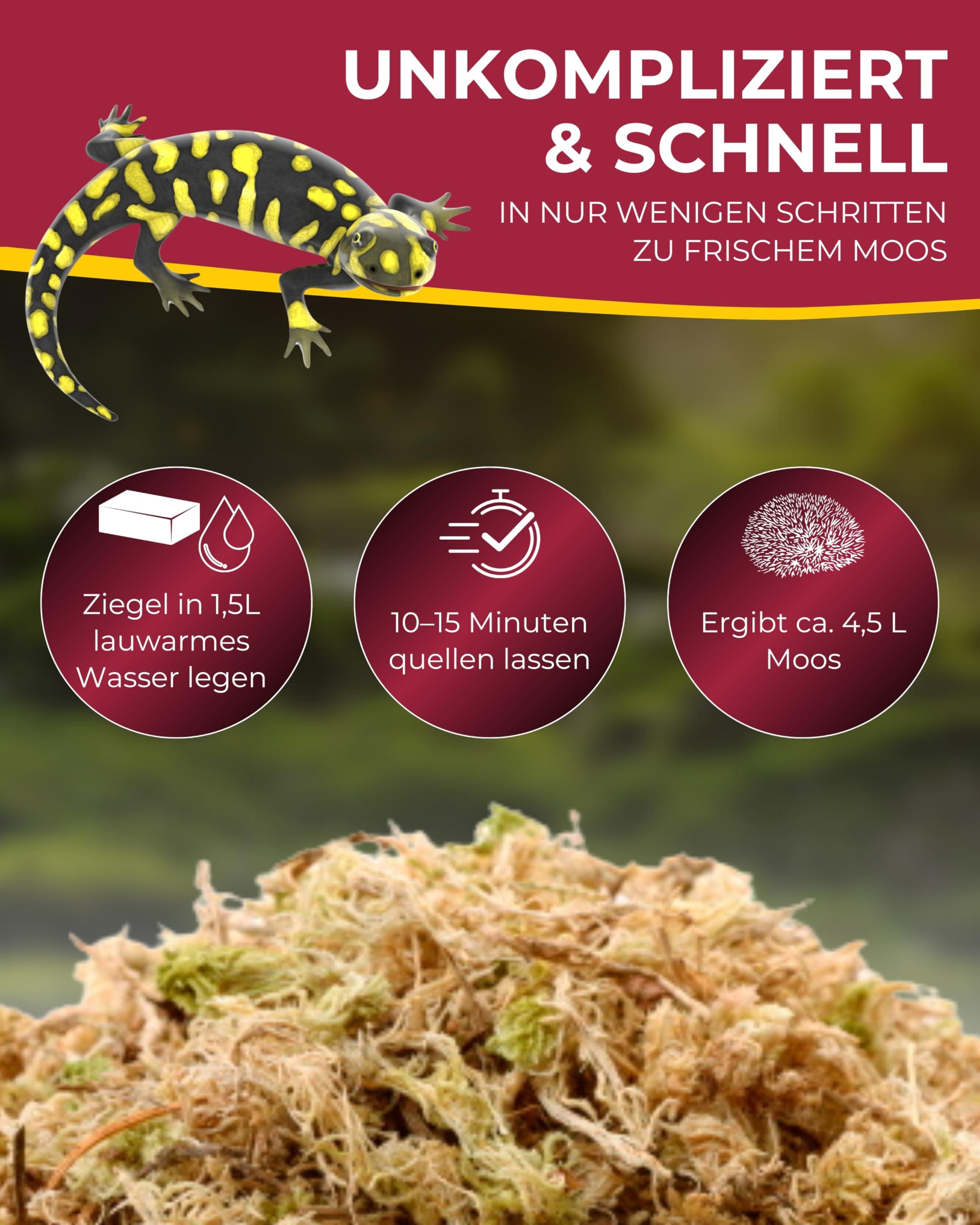 Hobby Sphagnum Moss Terrarienmoos 100 g 4,5 l