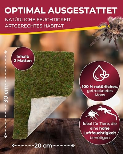 Hobby Terrano Moos 34095 Terrarium-Moosmatte Naturmoos