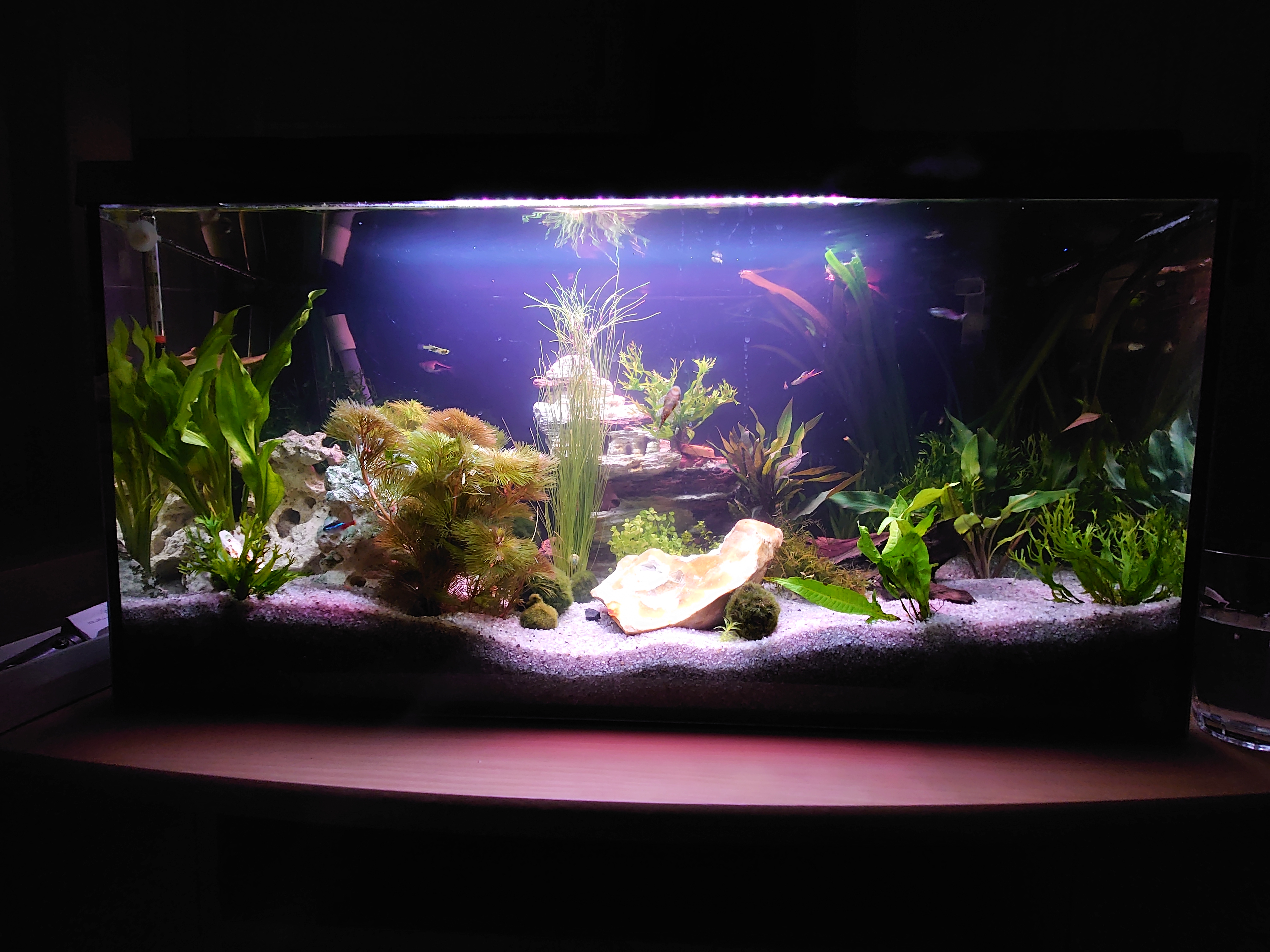 Hobby Arizona Rock 1 Dekostein 17x9x17 cm naturgetreu