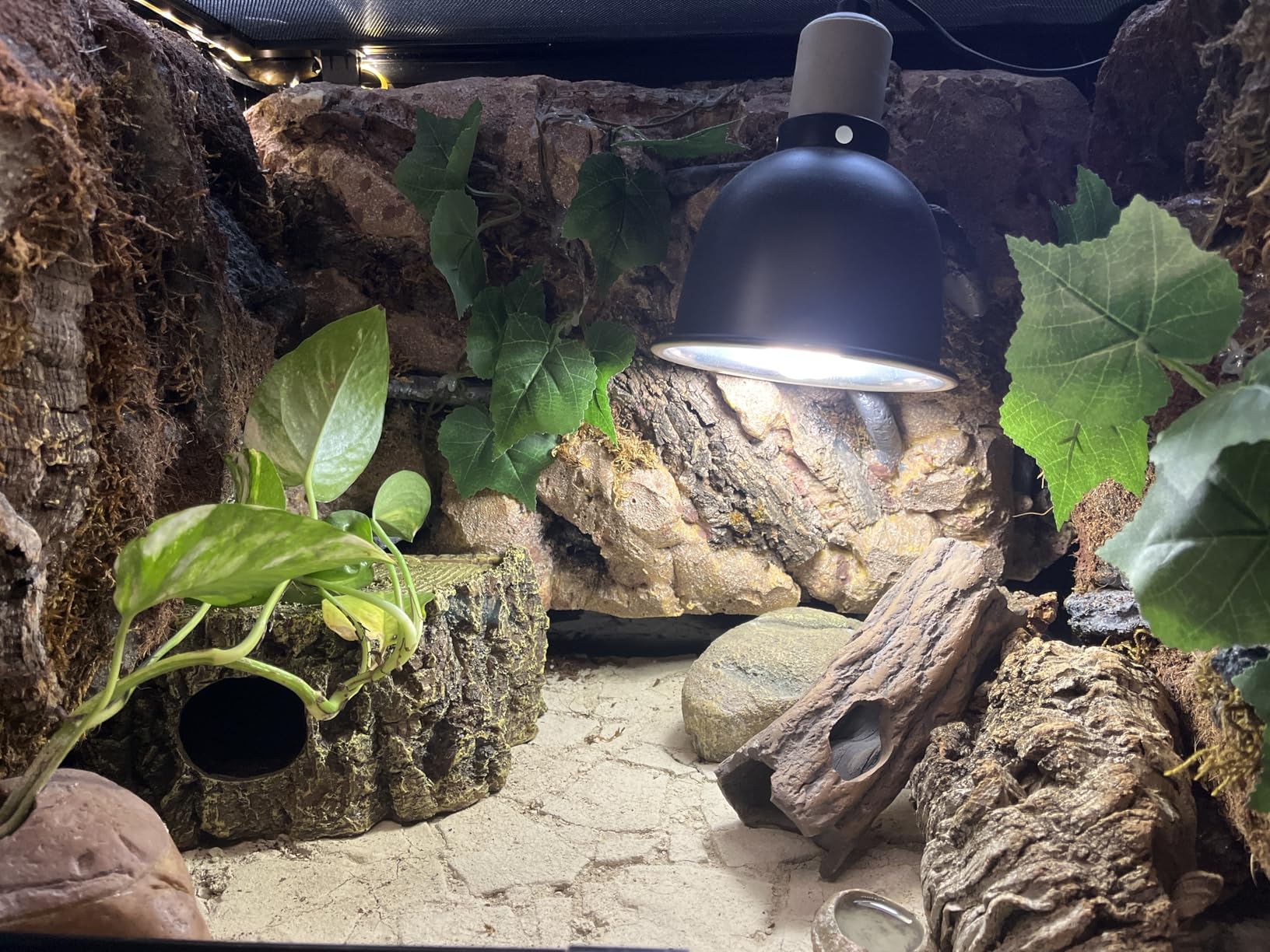Hobby Bark I Eckhöhle Terrarium 21x15x11 cm naturnah