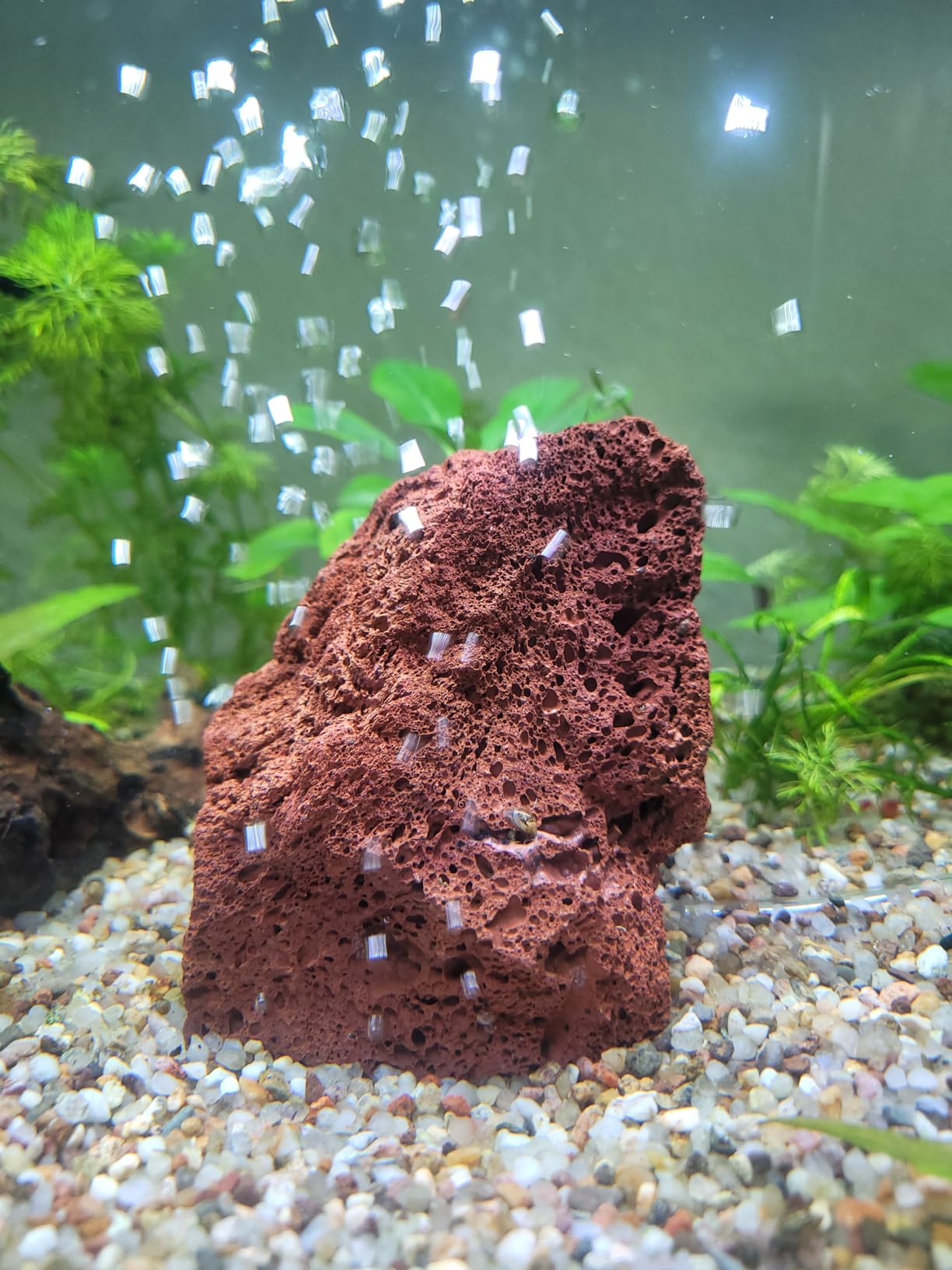 Hobby Vulcano Naturausströmer Sprudelstein 11x8 cm Lavastein