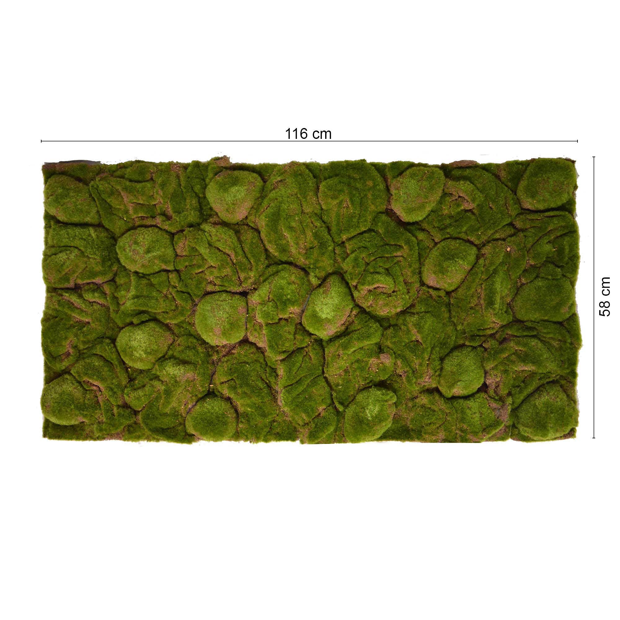 Repiterra Terrarium Rückwand Moos 116x58 cm 3D Hintergrund