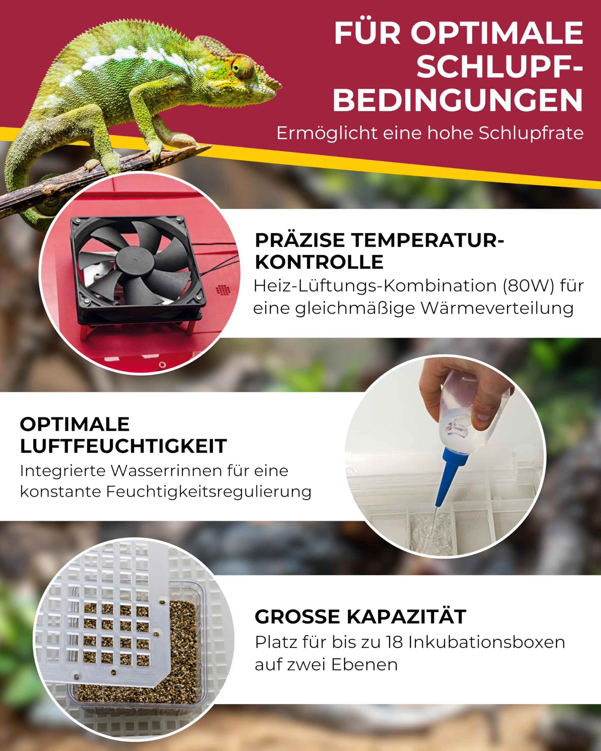 Hobby Easy Breeder Inkubator Brutkasten Reptilieneier 80W