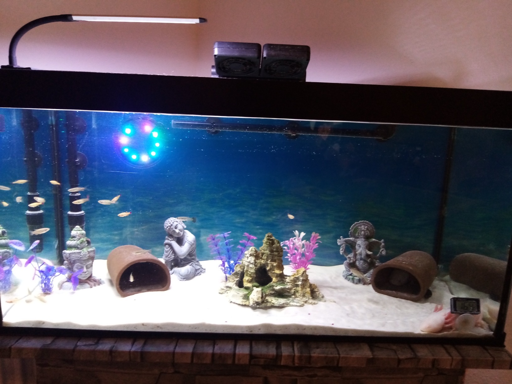 Hobby Vishnu Aquariumdeko 9x6,5x12,5 cm Polyresin