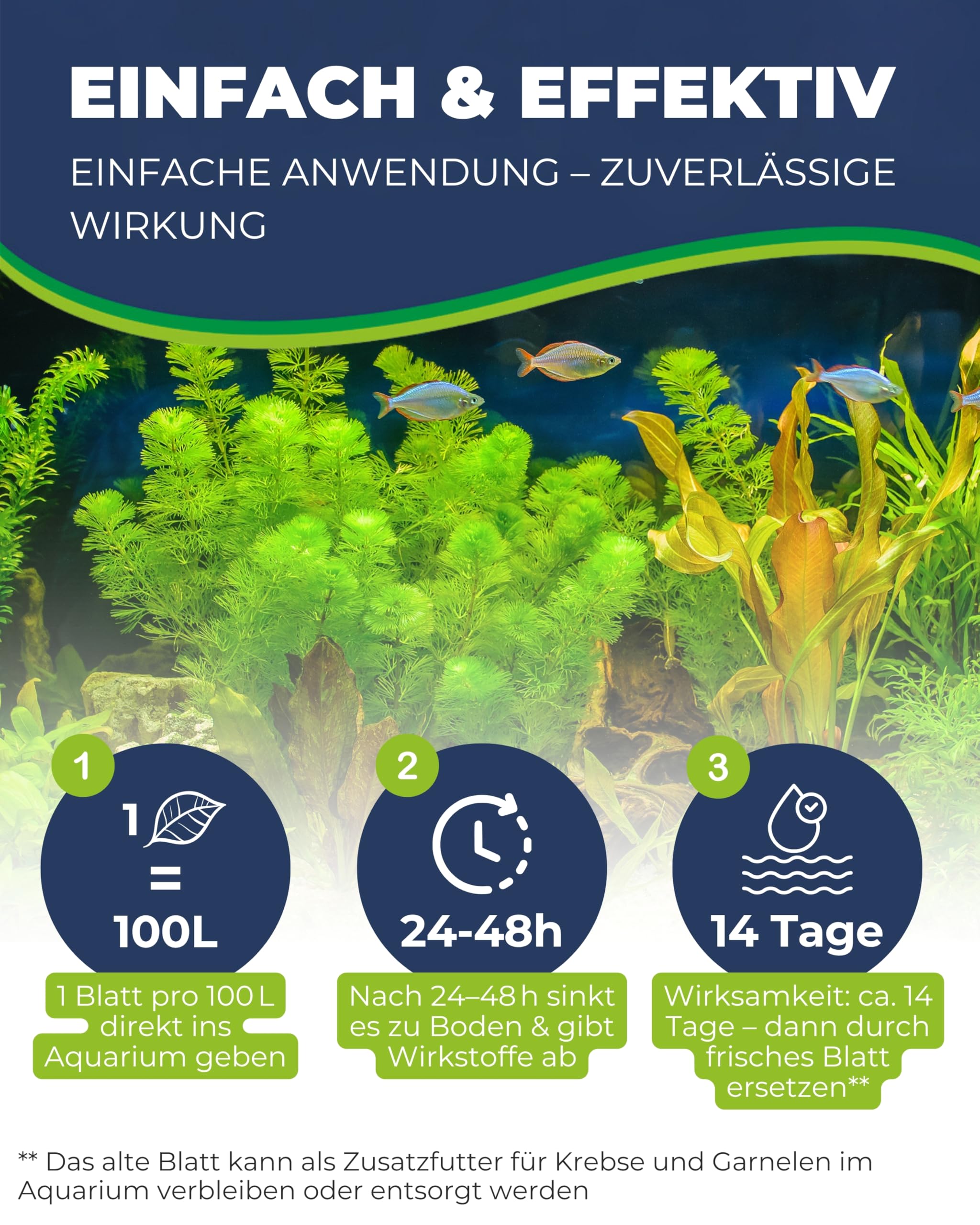 Hobby Catappa Leaves XL Seemandelbaumblätter 12 Stück