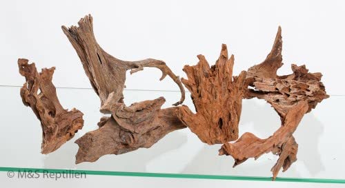 M&S Reptilien Mangrovenwurzel Large Wurzel 50-60 cm