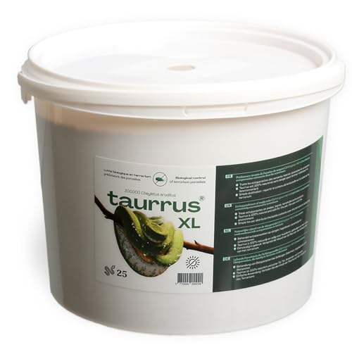 Taurrus XL Raubmilben Milbenbekämpfung 50 Tiere