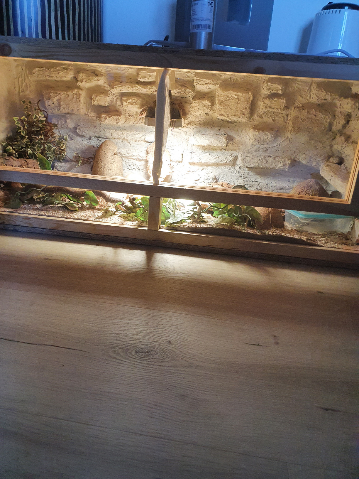 Repiterra Holzterrarium Frontbelüftung 100x40x40 cm OSB