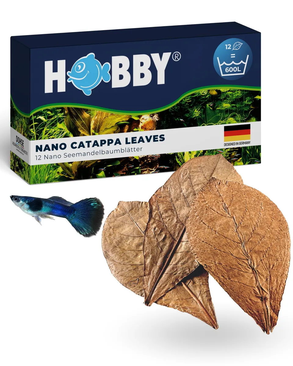 Hobby Nano Catappa Seemandelbaumblätter 12 Stück