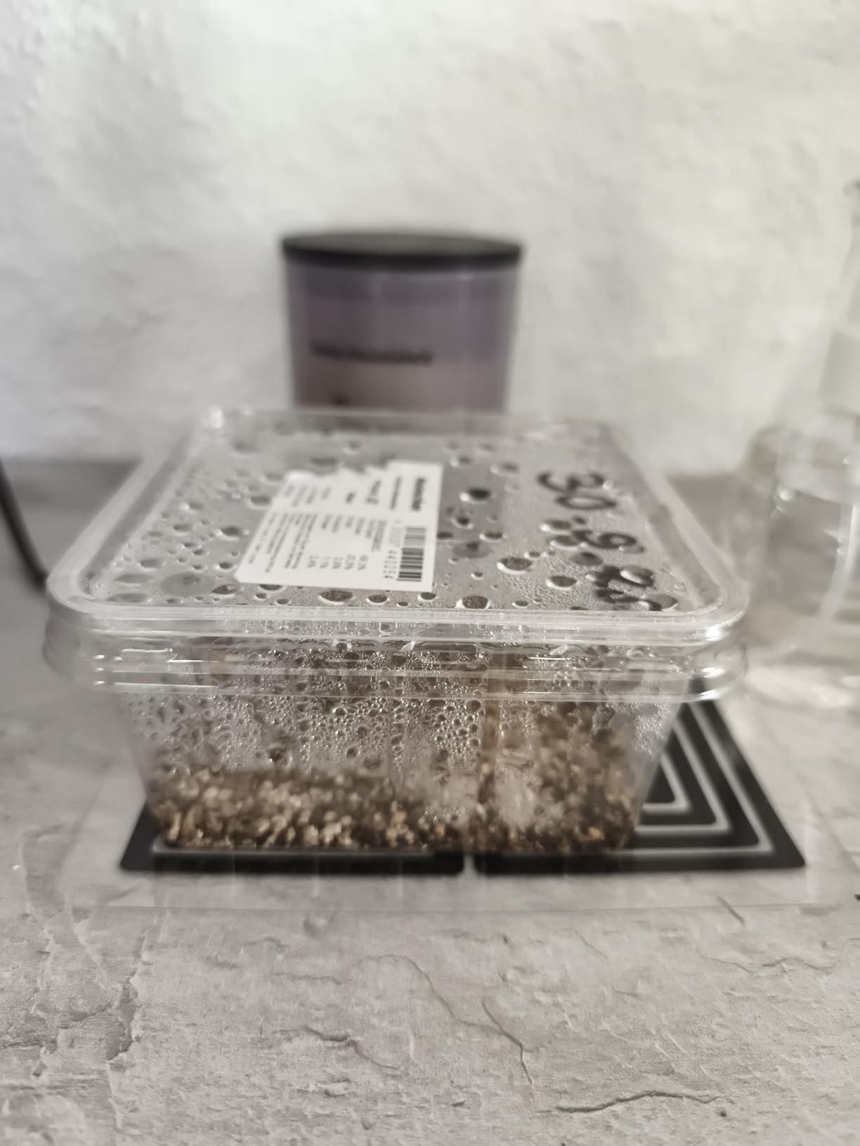 Hobby Vermiculit 0-4 mm Inkubationssubstrat 4 Liter fein