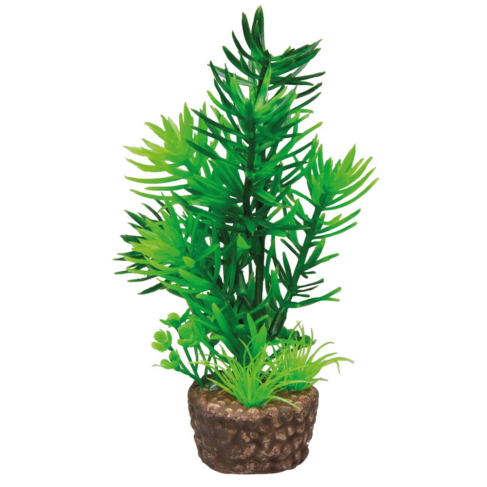 Hobby Flora Stone 6 Kunstpflanze 4x25 cm Keramikfuß