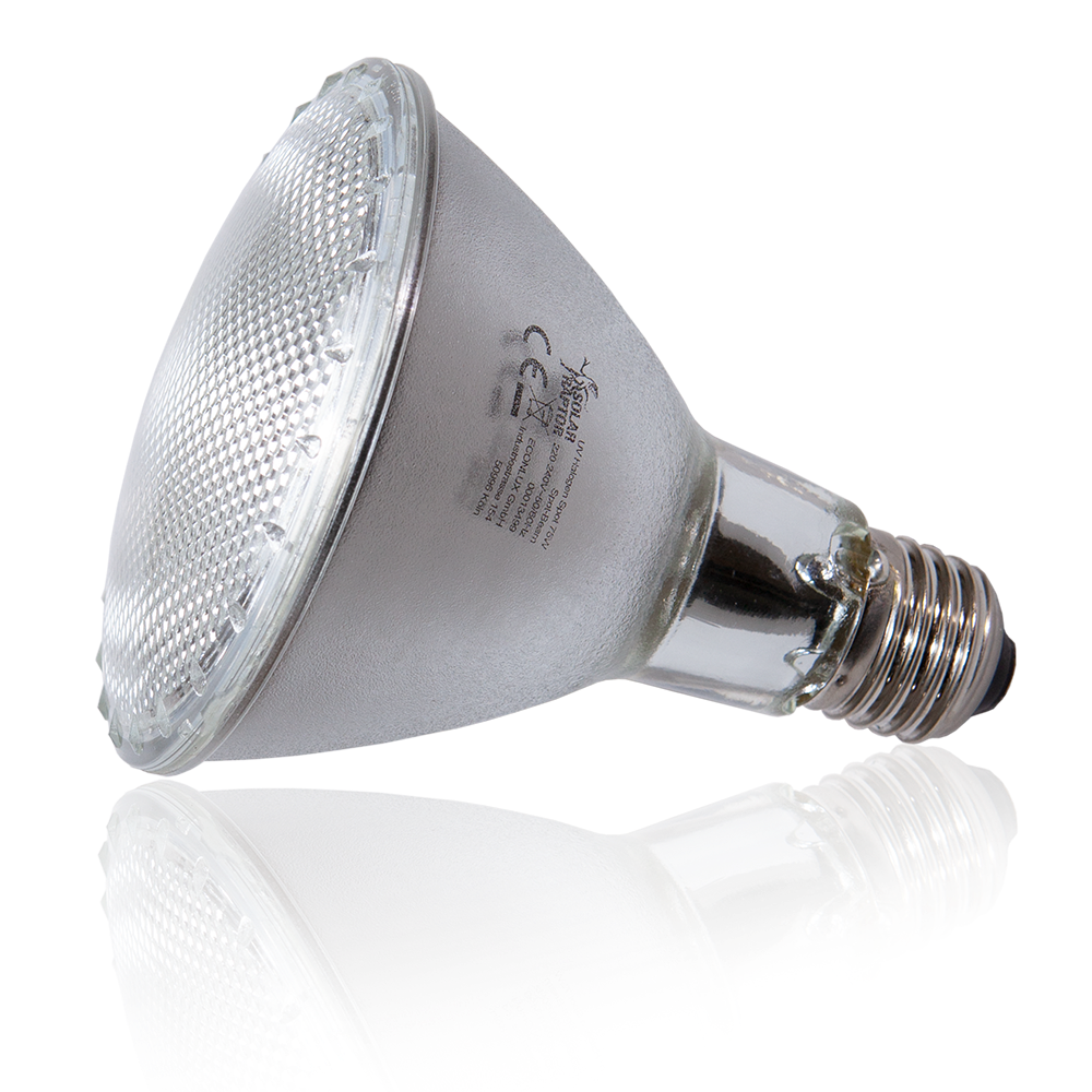 Econlux Solar Raptor UV Halogen Spot Terrarienlampe mit UV-A