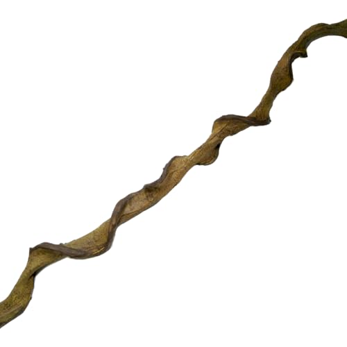 Repti Zoo Dschungel Liane RV1320 Kletterliane 120 cm biegsam