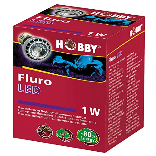 Hobby Fluro LED 1W E27 Lampe UV-Licht