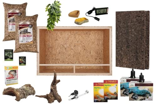 M&S Reptilien Komplettset Bartagamen Terrarium 150x80x80 Holz