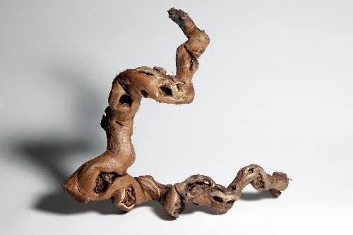 M&S Reptilien Rebwurzel XL Wurzel 70-80 cm Naturholz