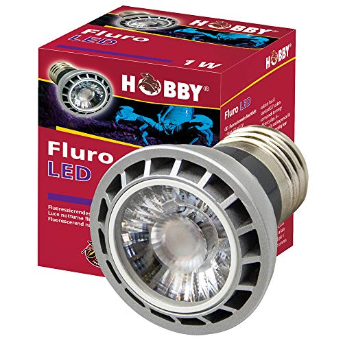 Hobby Fluro LED 1W E27 Lampe UV-Licht