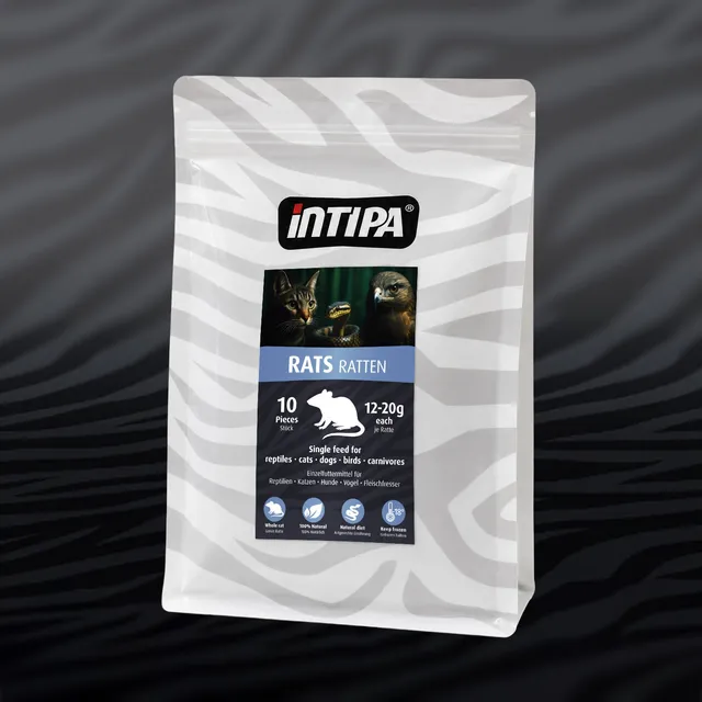 Ratten 12-20g Frostfutter 10St für Schlange