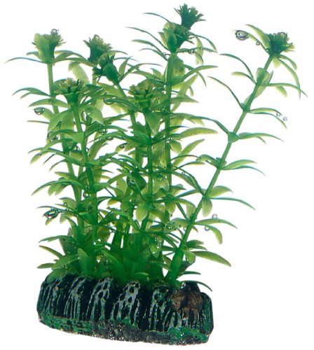 Hobby Lagarosiphon Kunstpflanze 60 cm wasserneutral