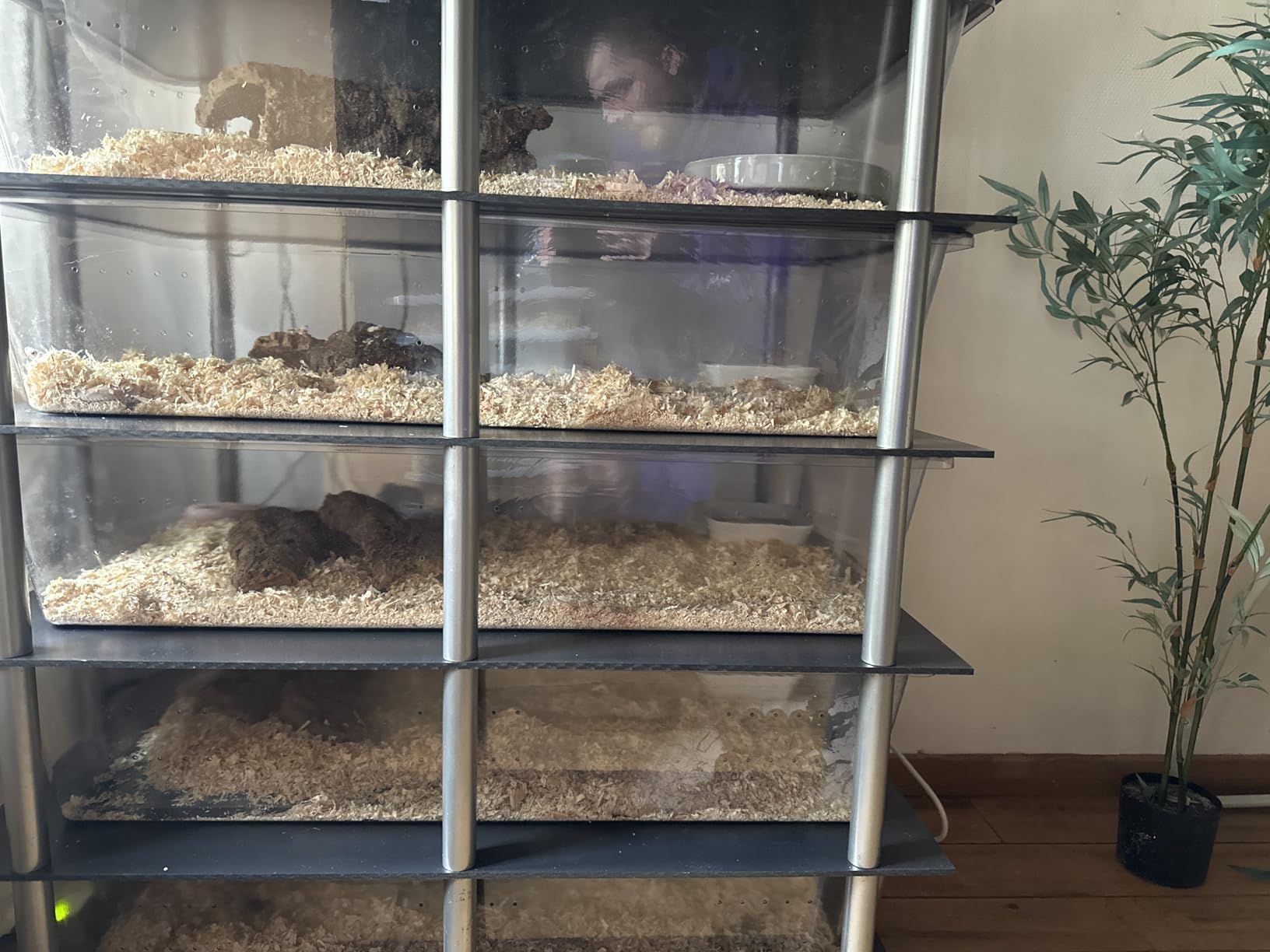 M&S Reptilien Rack System Adult Rack 5 Wannen mit Heizmatten