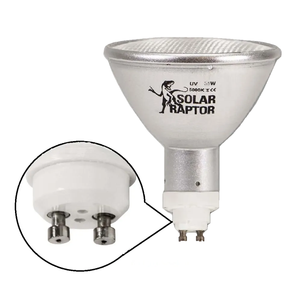 Econlux Solar Raptor HID-Lampe GX10 UV-Strahler Tageslicht